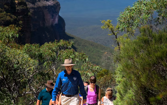 The Blue Mountains World Heritage private guided hike - Image 2